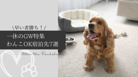 ikkyu-travel web site-GW dog friendly hotel sale