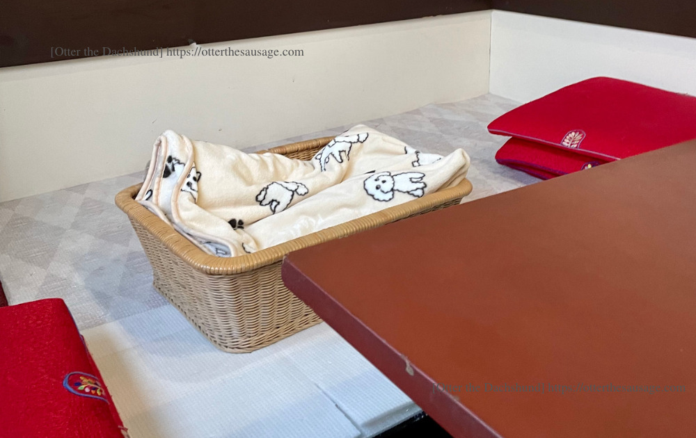 photo_犬と旅行_犬連れ旅行_karuizawa_yakiniku bbq_koshuen_dog friendly restaurant_軽井沢_焼肉_犬と外食_店内で食事ができる_光州苑本店_犬連れ席_犬用座席かご