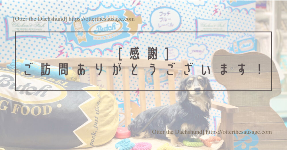 Blog Header image_traveling-with-dog-in-japan-adventures-of-tabi-inu-blog-1-year-anniversary_犬と旅行_犬連れ旅行_感謝：ご訪問ありがとうございます！