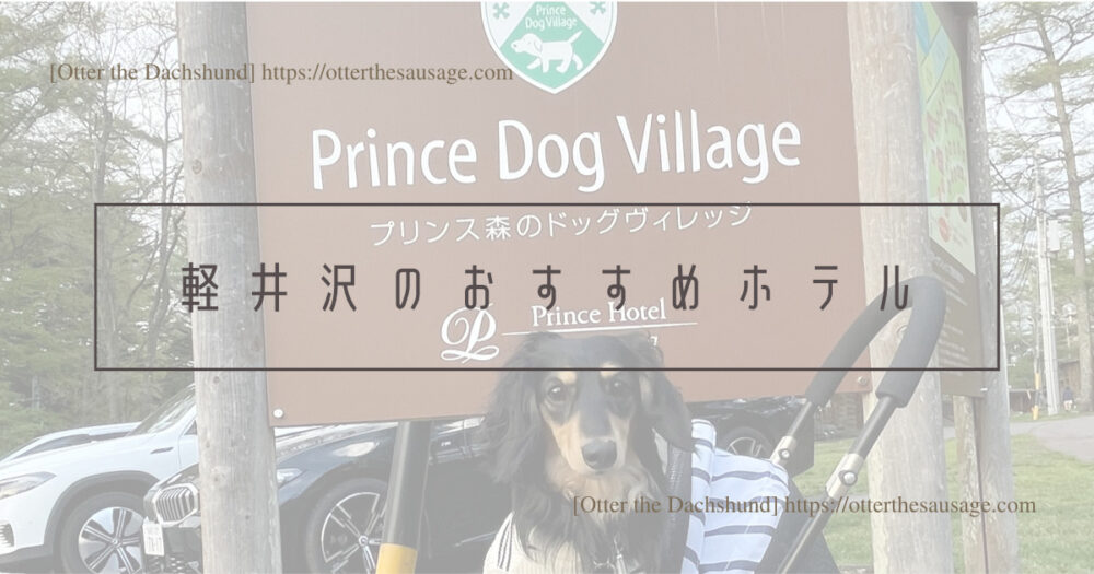 Blog Header image_犬と旅行_犬連れ旅行_南軽井沢朝食昼食カフェ_シェリダンSHERIDAN_Otter the Dachshund_軽井沢のおすすめ犬連れホテル