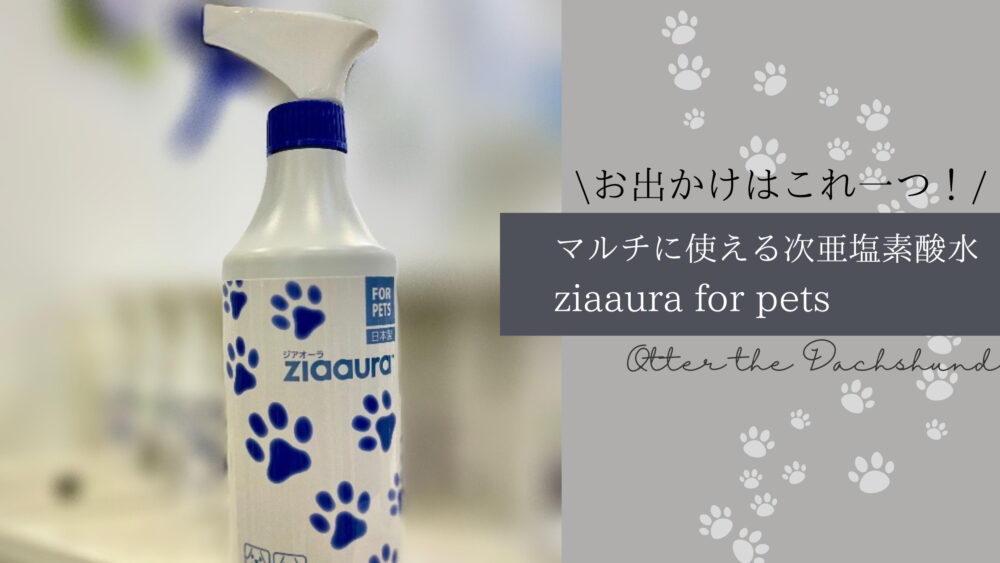 Blog Banner_ziaaura-for-pets_hypochlorous-acid-water_review