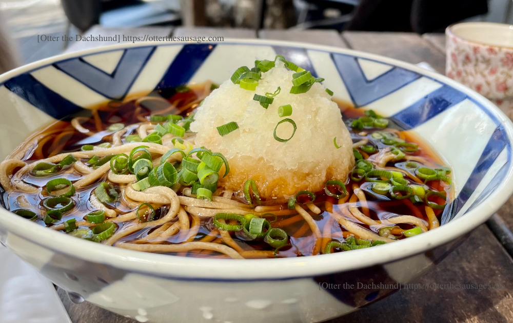 Photo_Otter the Dachshund_travel with dogs_hang out with dogs_犬旅ブログ_犬とお出かけブログ_軽井沢_川上庵本店_（冷）おろしそば