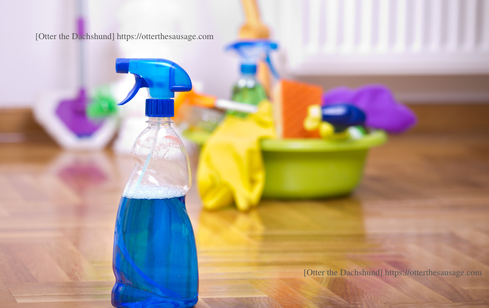 photo_ spray bottles_clean up