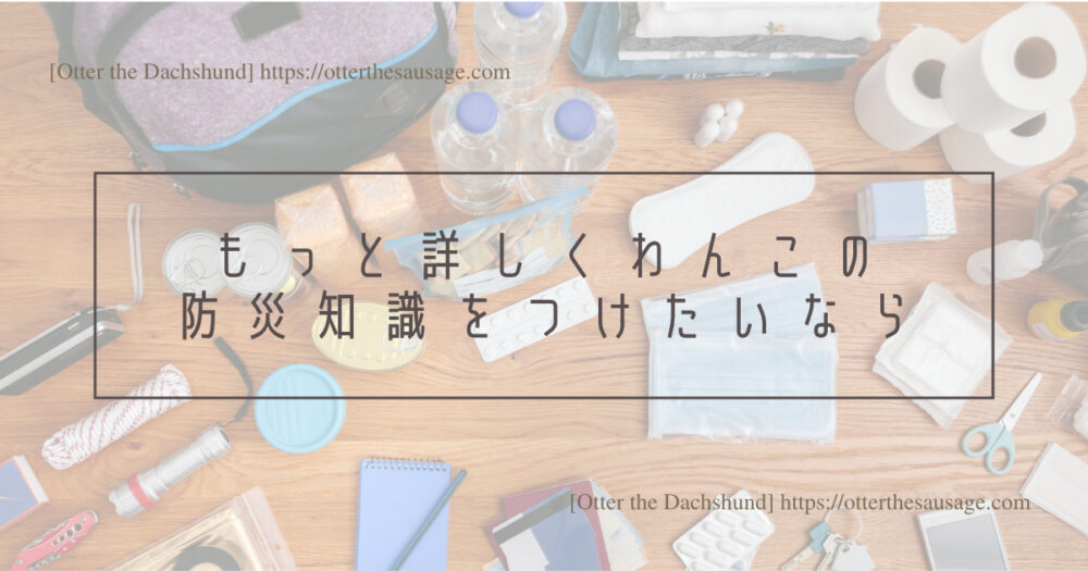 Header Image_Otter the Dachshund_dog-emergency-preparation-for-protecting_【犬の防災対策】愛犬を守るための3つの準備：緊急時の備えと安心の対策_もっと詳しくわんこの防災知識をつけたいなら