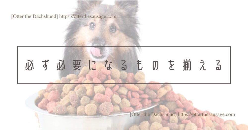 Header Image_Otter the Dachshund_dog-emergency-preparation-for-protecting_【犬の防災対策】愛犬を守るための3つの準備：緊急時の備えと安心の対策_必ず必要になるものを揃える