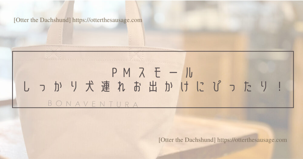 Header Image_Otter the Dachshund_travel with dogs_hang out with dogs_犬旅ブログ_犬とお出かけブログ_BONAVENTURA ECO BAG_PMスモールはしっかり犬連れお出かけにぴったり！
