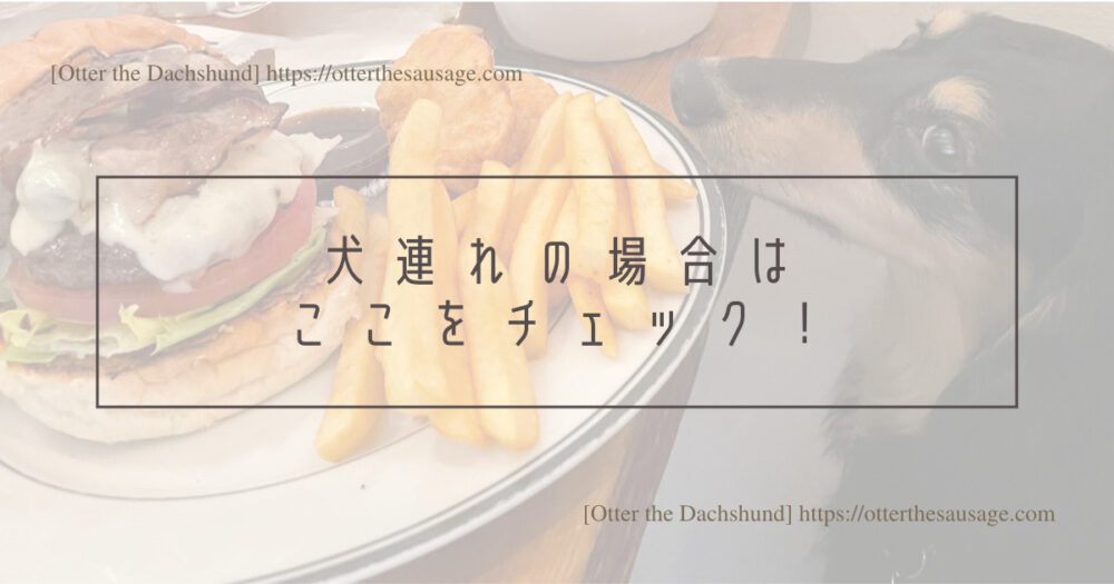 Header Image_Otter the Dachshund_travel with dogs_hang out with dogs_犬旅ブログ_犬とお出かけブログ_tokyo-ebisu_burger-mania_バーガーマニア恵比寿_犬連れの場合はここをチェック！