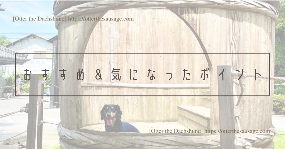 Header Image_Otter the Dachshund_travel with dogs_hang out with dogs_犬旅ブログ_犬とお出かけブログ_dog-friendly-restaurant-saitama_kawagoe-kinbue-shoyu-park_川島町 川越 金笛醤油パーク_おすすめ＆気になったポイント