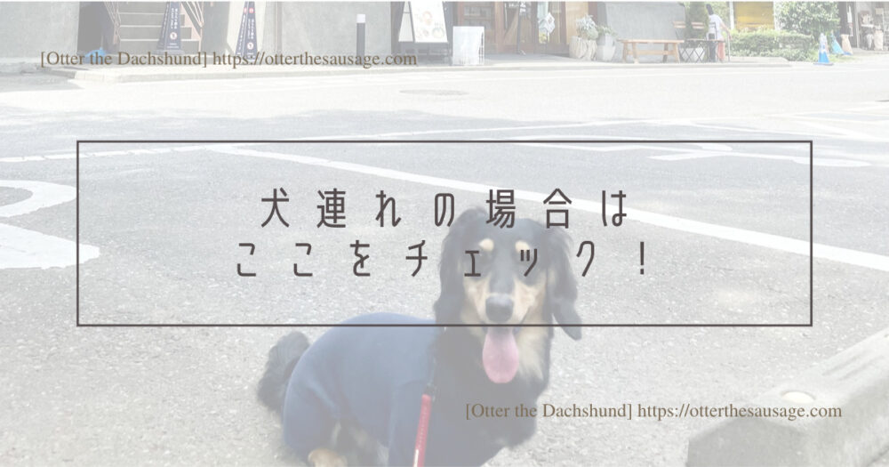 Header Image_Otter the Dachshund_travel with dogs_hang out with dogs_犬旅ブログ_犬とお出かけブログ_dog-friendly-restaurant-saitama_kawagoe-kinbue-shoyu-park_川島町 川越 金笛醤油パーク_犬連れの場合はここをチェック！