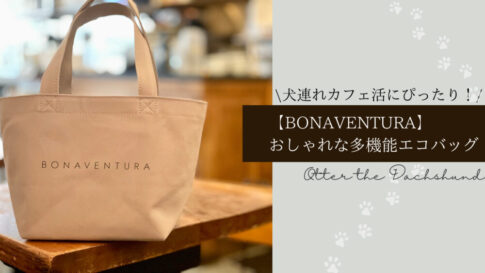 Blog Banner_BONAVENTURA_ Eco Bag