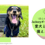 Blog Banner_Otter the Dachshund_review_jackery-portable-power-station_for-dog-owner