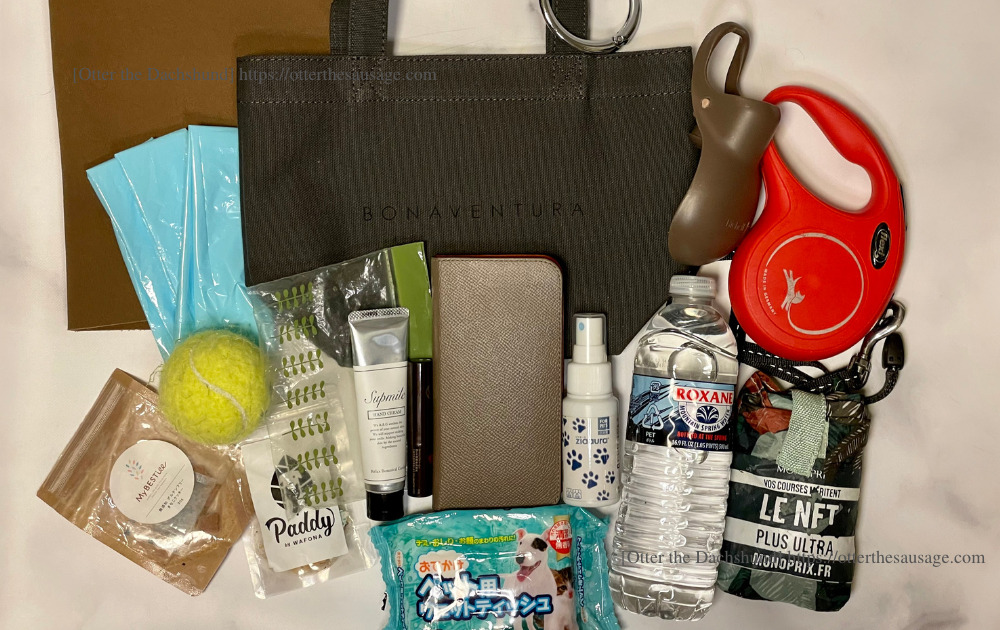 photo_ Otter the Dachshund_travel with dogs_hang out with dogs_犬旅ブログ_犬とお出かけブログ_BONAVENTURA ECO BAG_ボナベンチュラエコバッグ_BB_入れられるアイテム例