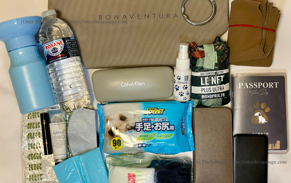 photo_ Otter the Dachshund_travel with dogs_hang out with dogs_犬旅ブログ_犬とお出かけブログ_BONAVENTURA ECO BAG_ボナベンチュラエコバッグ_PMスモールライトグレー_入れられるアイテム例