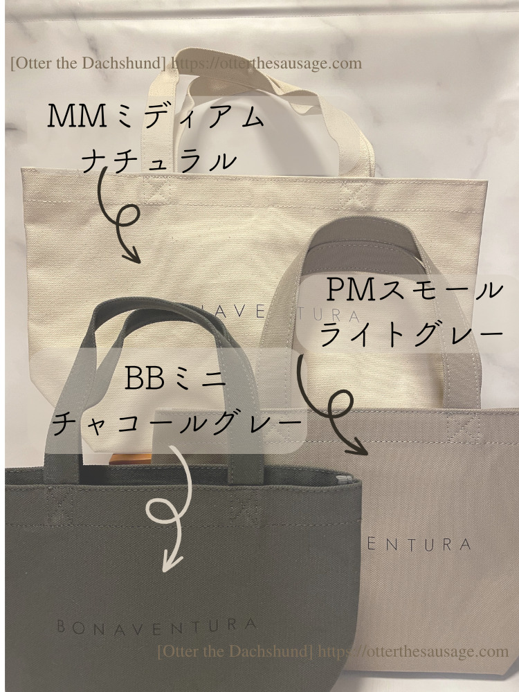 photo_ Otter the Dachshund_travel with dogs_hang out with dogs_犬旅ブログ_犬とお出かけブログ_BONAVENTURA ECO BAG_ボナベンチュラエコバッグ_大き比較_MM_PM_BBサイズ
