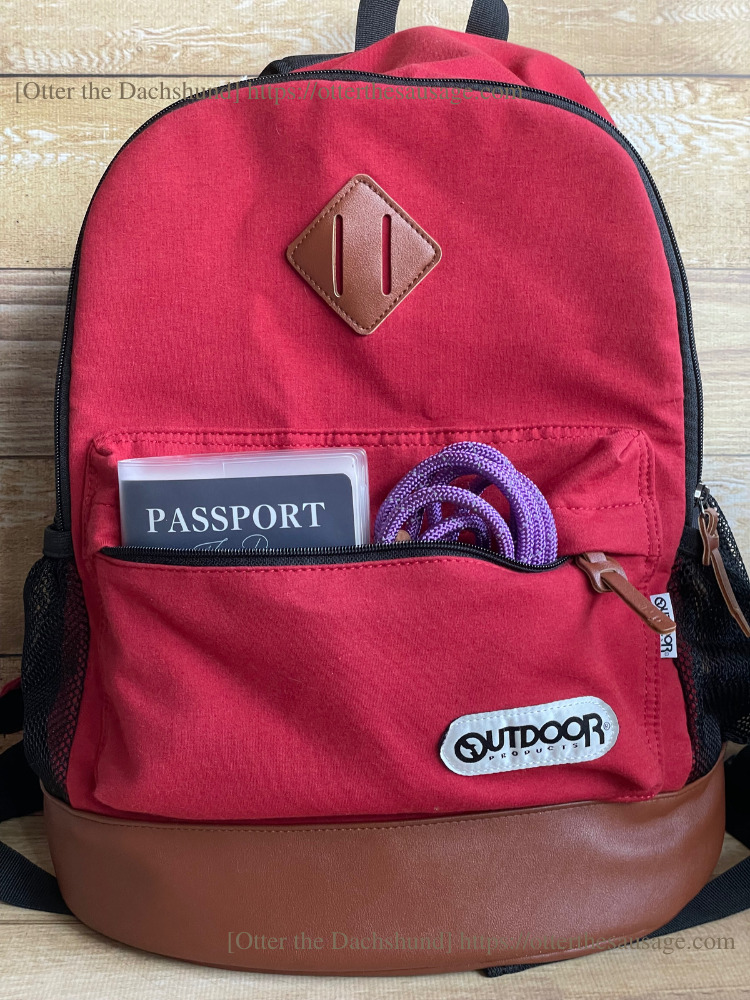 photo_Otter the Dachshund_dog-emergency-preparation-for-protecting_【犬の防災対策】愛犬を守るための3つの準備：緊急時の備えと安心の対策_キャリーリュック_犬の手帳_スリップリード