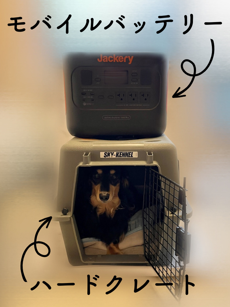 photo_Otter the Dachshund_dog-emergency-preparation-for-protecting_【犬の防災対策】愛犬を守るための3つの準備：緊急時の備えと安心の対策_ハードクレート_ポータブルバッテリー