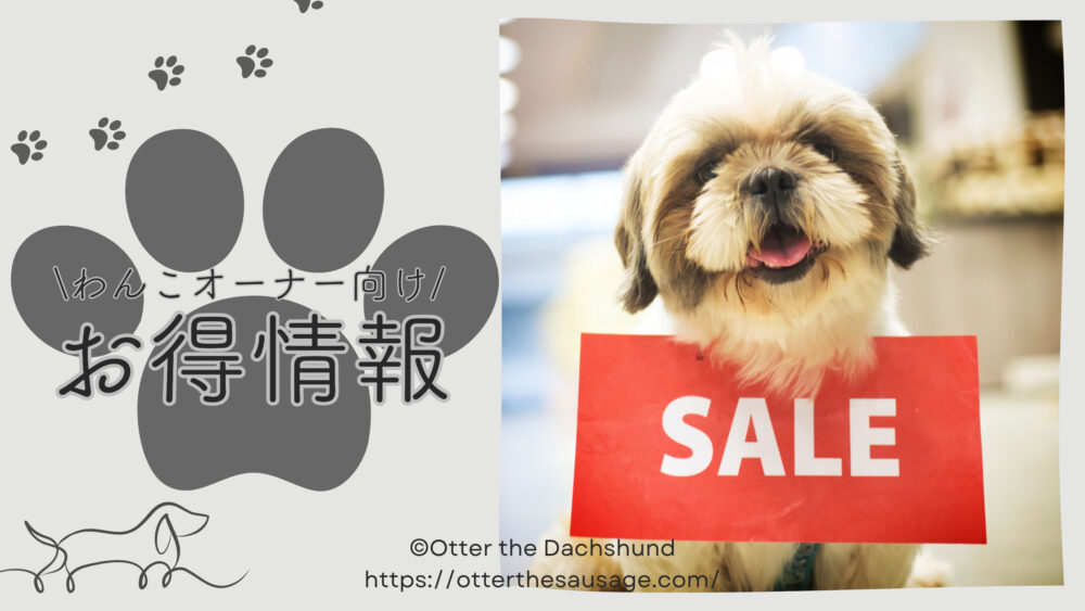 Blog Banner_latest-discount-news-for-dog-lovers