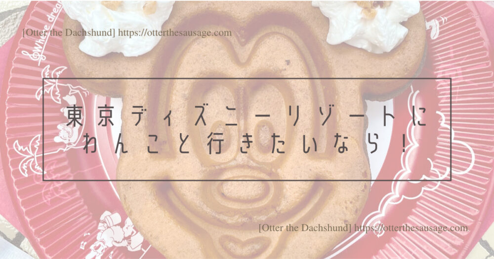 Header Image_Otter the Dachshund_travel with dogs_hang out with dogs_犬旅ブログ_犬とお出かけブログ_tokyo-disney-land_home-store-where-you-can-buy-dog-goods_東京ディズニーリゾートにわんこと行きたいなら！-シェラトングランデ東京ベイ舞浜ホテルがおすすめ