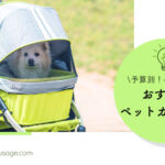 Blog Banner_budget-friendly-pet-strollers-for-small-dogs