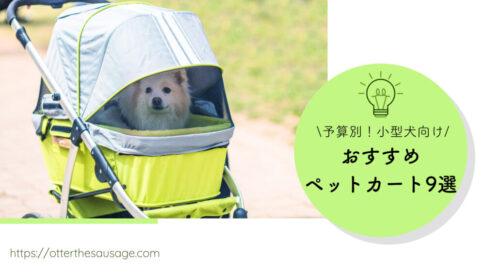Blog Banner_budget-friendly-pet-strollers-for-small-dogs