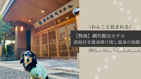 Blog Banner_dogfriendly-ryokan_shizuoka-atami_ajiro-kanko-hotel_Otter the Dachshund