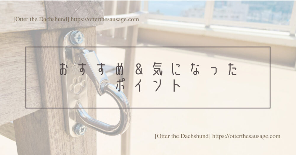 Header Image_Otter the Dachshund_travel with dogs_hang out with dogs_犬旅ブログ_熱海_海賊の隠れ家_おすすめ＆気になるポイント