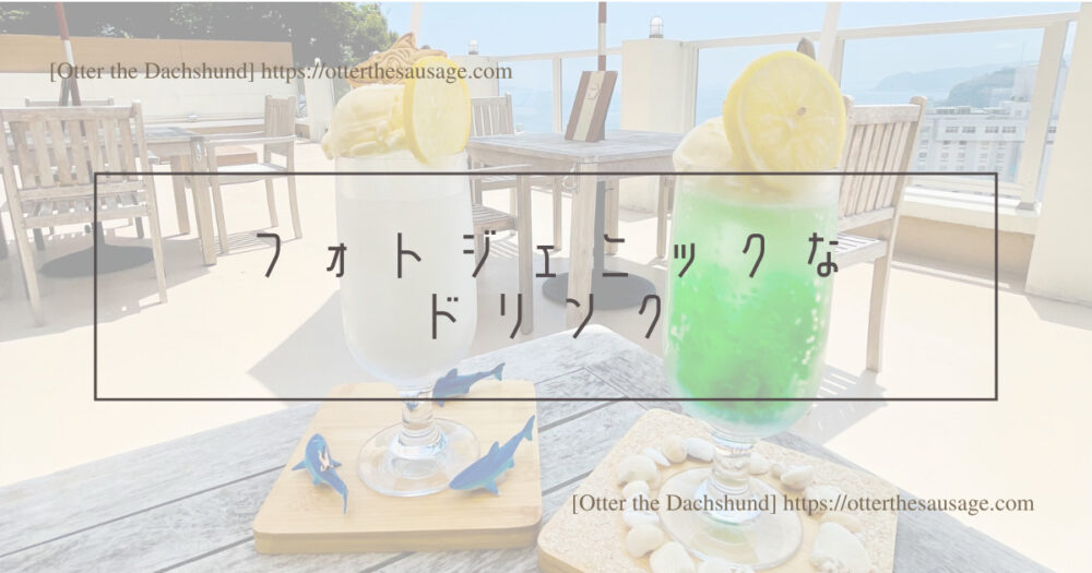 Header Image_Otter the Dachshund_travel with dogs_hang out with dogs_犬旅ブログ_熱海_海賊の隠れ家_フォトジェニックなドリンク