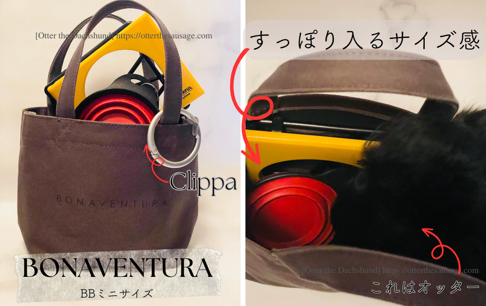 Photo_Otter the Dachshund_dog goods review_seria_food-bowl-stand_100均セリア_ペットグッズ_フードボウルスタンド_折りたたみペット皿_BONAVENTURA_ミニトート_Clippa_クリッパ