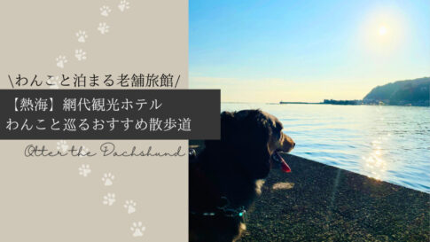Blog Banner_travel with dogs_shizuoka_atami_ajiro-doggy-paths