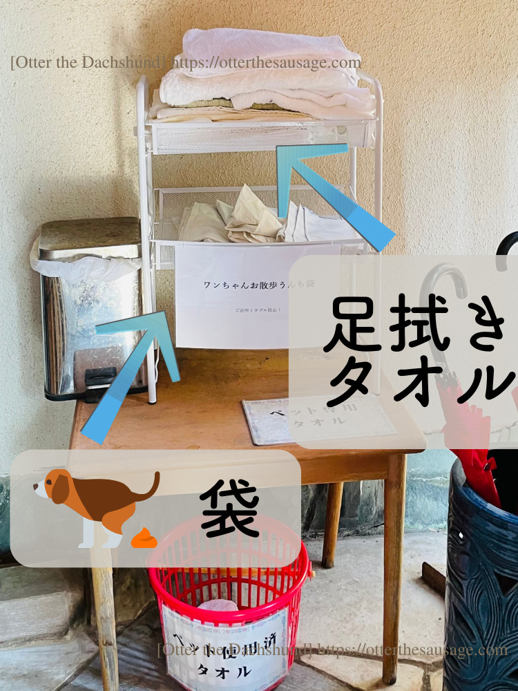 photo_Otter the Dachshund_travel with dogs_shizuoka_atami_ajiro-doggy-paths_網代_犬連れ旅行_犬と旅行_網代観光ホテル備品_犬用足拭きタオル_うんち袋(ポン太くん)