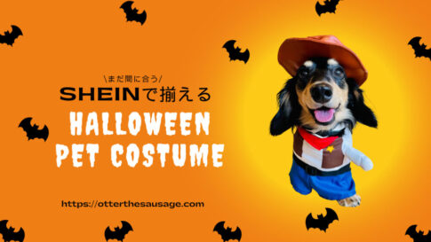 Blog Banner_shein_dog-halloween-costume_2023