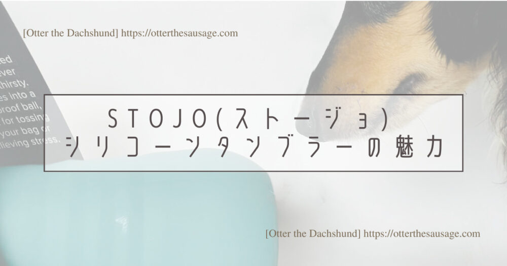 Header Image_Otter the Dachshund_product-review_stojo-silicone-tumbler-20oz_犬旅ブログ_犬とお出かけブログ_【オーナーグッズ】わんことのカフェ活にぴったりな折りたたみタンブラー_Stojo(ストージョ) シリコーンタンブラーの魅力