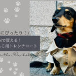 Blog Banner_dog-goods-review_shein_trench-coat-for-dog