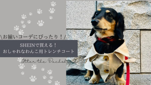 Blog Banner_dog-goods-review_shein_trench-coat-for-dog