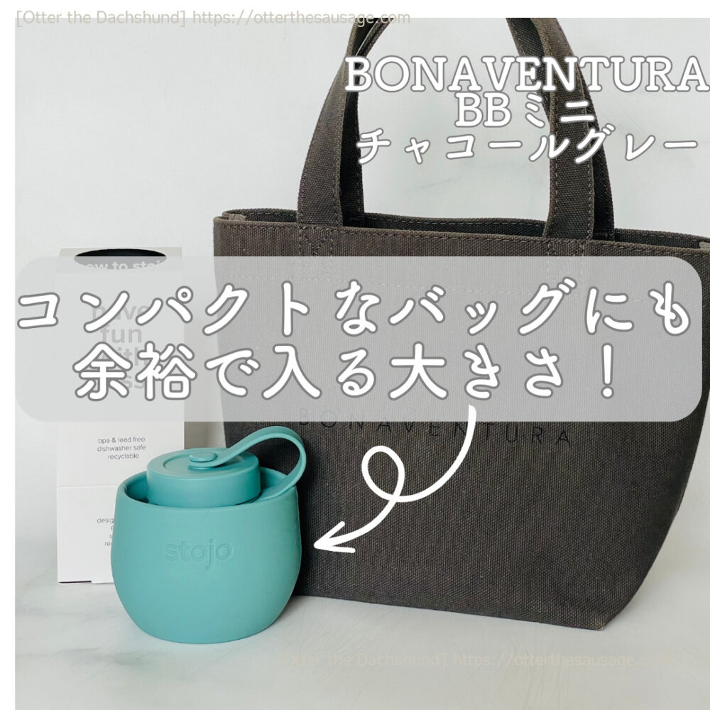 photo_Otter the Dachshund_product-review_stojo-silicone-tumbler-20oz_犬旅ブログ_犬とお出かけブログ_【オーナーグッズ】わんことのカフェ活にぴったりな折りたたみタンブラー_BONAVENTURA_大きさ比較