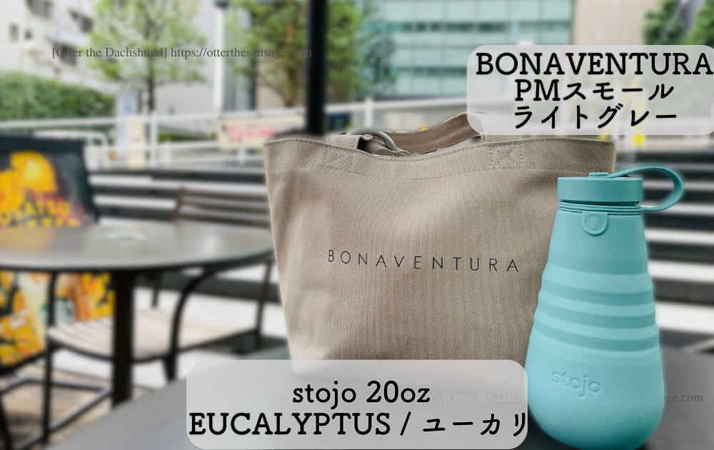 photo_Otter the Dachshund_product-review_stojo-silicone-tumbler-20oz_犬旅ブログ_犬とお出かけブログ_【オーナーグッズ】わんことのカフェ活にぴったりな折りたたみタンブラーストージョ_カフェ例_BONAVENTURA
