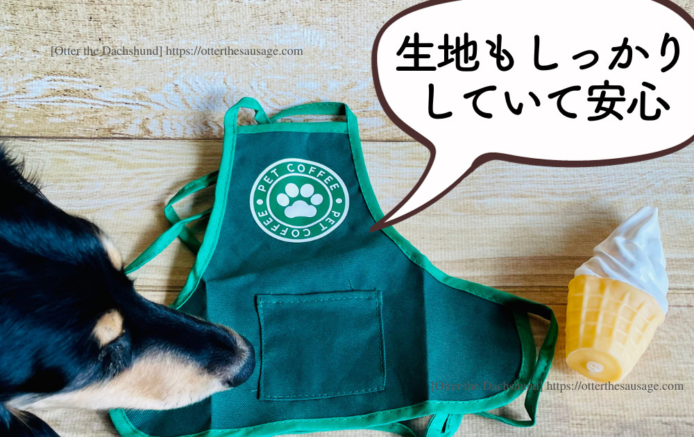 photo_Otter the Dachshund_犬ブログ_shein_dog-halloween-costumeシーイン犬のハロウィンコスチューム_2023_otter_オッター