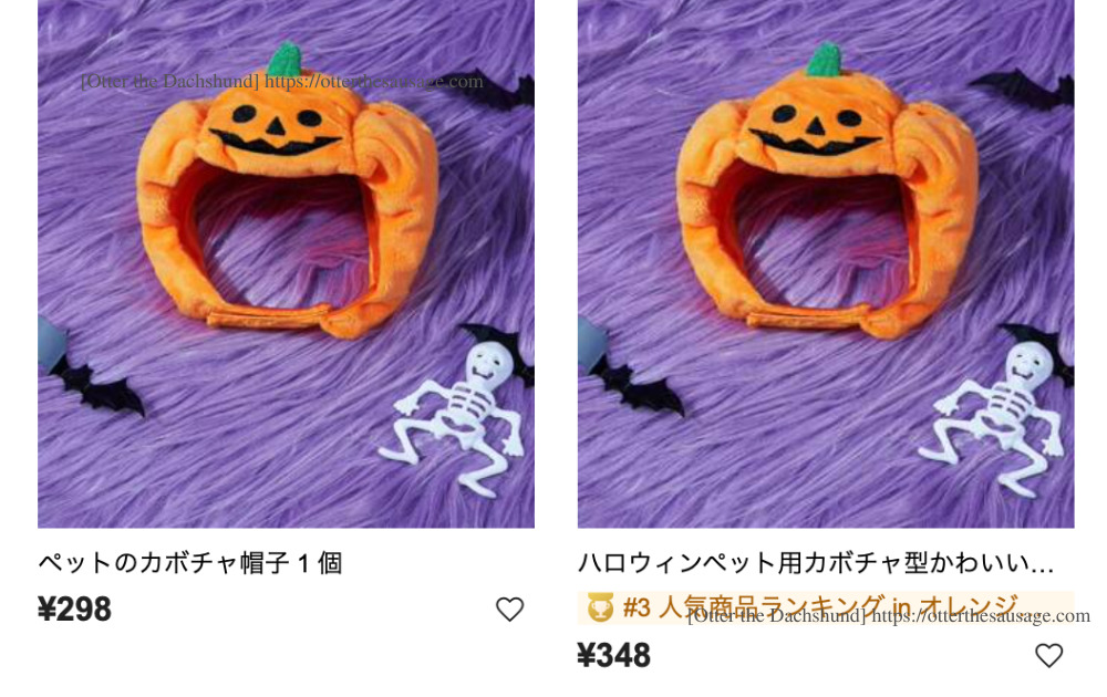 photo_Otter the Dachshund_犬ブログ_shein_dog-halloween-costumeシーイン犬のハロウィンコスチューム_2023_かぼちゃ料金比較