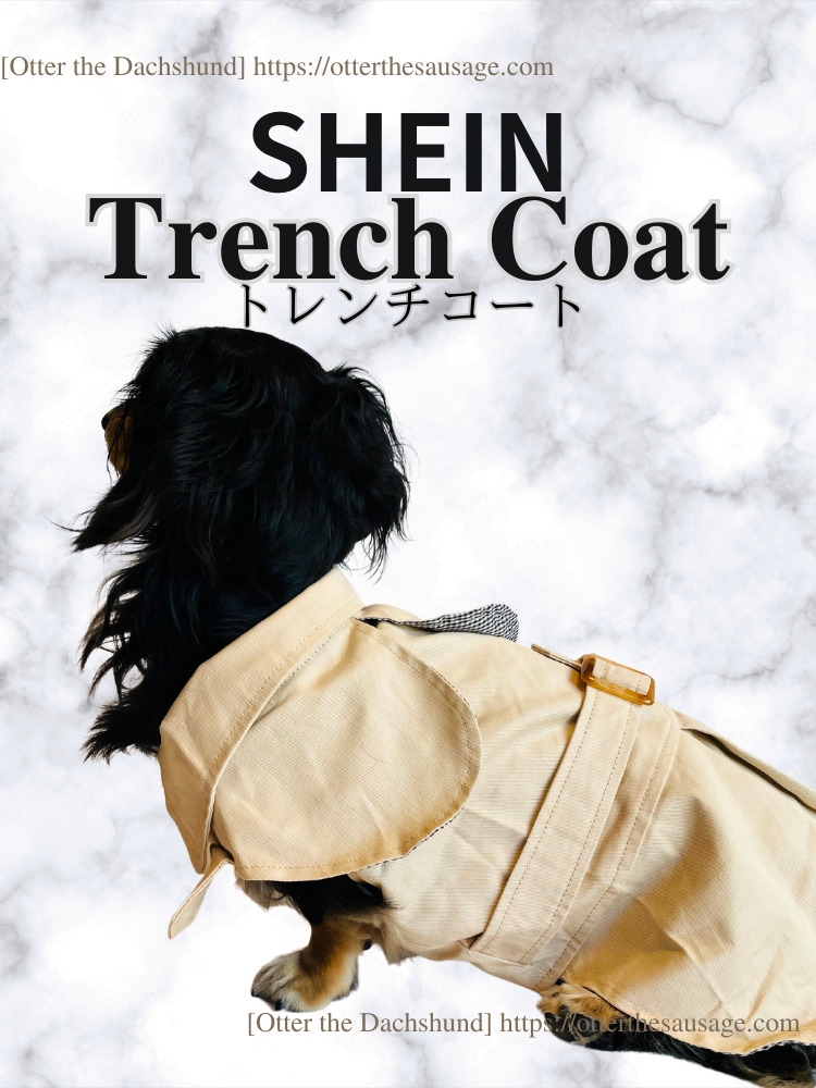 photo_Otter the Dachshund_犬ブログ_shein_シーイン_犬服_トレンチコート_背面デザイン_カニンヘンダックスフンドオッター