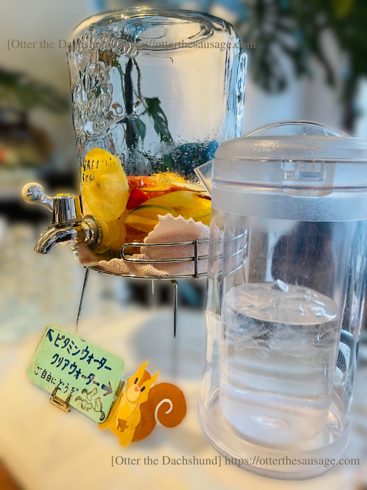 photo_dogfriendly-cafe_tokyo-takadanobaba_res cafe_Menu_犬とお出かけブログ_高田馬場_リスカフェ_ビタミンウォーター
