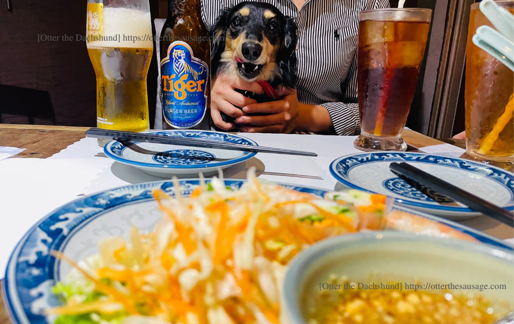 photo_dogfriendly-thai-restaurant_tokyo-shinokubo_som-o_Menu_犬とお出かけブログ_新大久保_タイ料理_ソム・オー_オッター