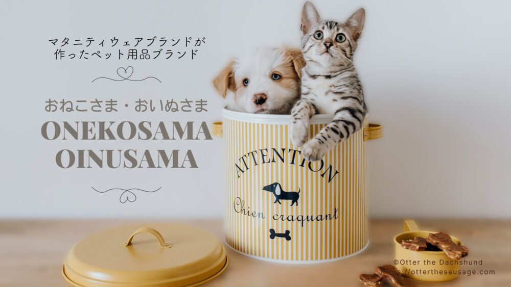 Blog Banner_dog-goods-brand_onekosama-oinusama_winter-sale