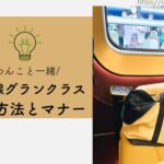 Blog Banner_dog-travel-tips_gran-class_bullet-train
