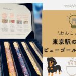 Blog Banner_dog-travel-tips_view-gold-lounge_tokyo-station