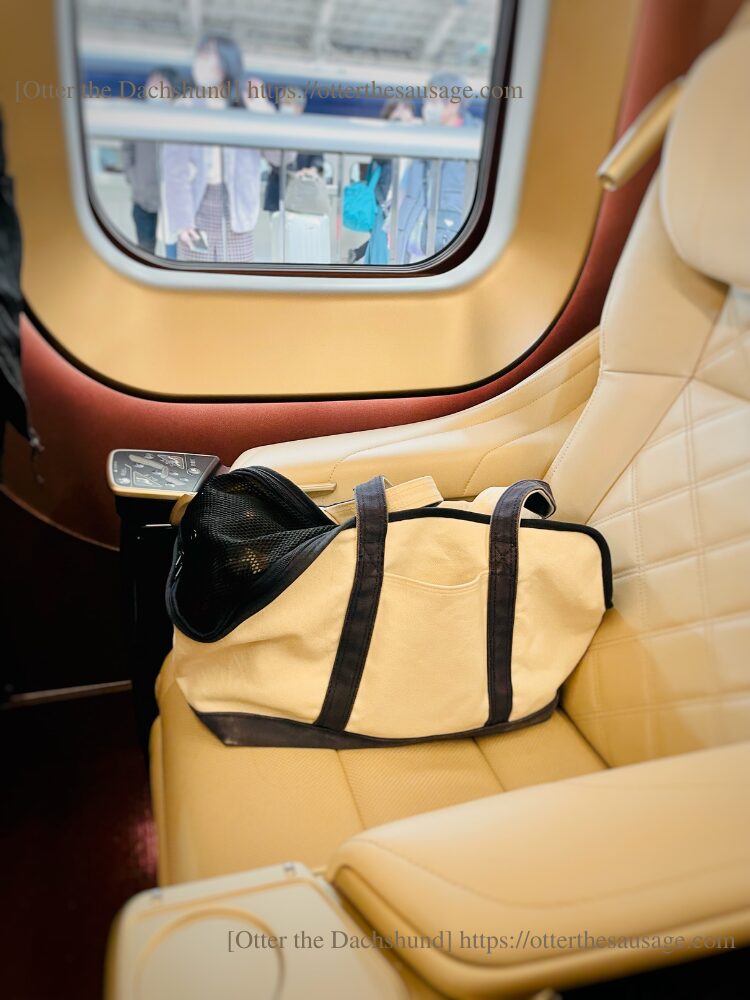 photo_dog-travel-tips_gran-class_bullet-train_Otter the Dachshund_travel with dogs_hang out with dogs_犬旅ブログ_犬とお出かけブログ_犬と新幹線_グランクラス_オッター_freestitch_キャリーバッグ