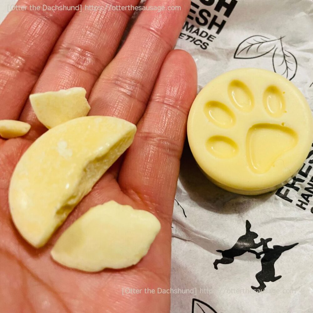 オーナーグッズ】200円で動物を守る!?Lushの肉球チャリティポットコインで楽しむ冬のスキンケア | Otter the Dachshund  オッターはダックスフンド