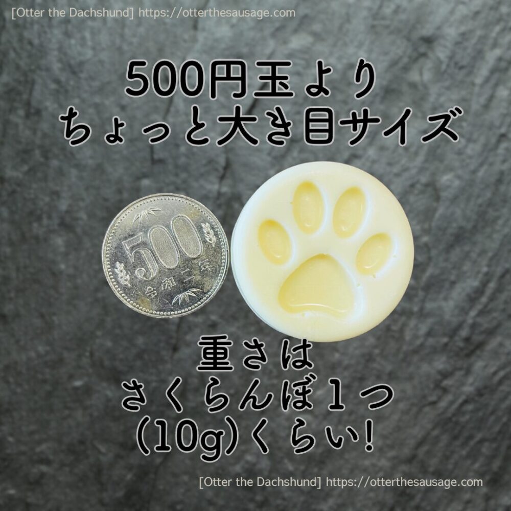 オーナーグッズ】200円で動物を守る!?Lushの肉球チャリティポットコインで楽しむ冬のスキンケア | Otter the Dachshund  オッターはダックスフンド