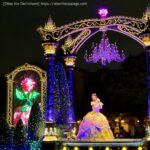 photo_travel with dogs_hang out with dogs_犬旅ブログ_犬とお出かけブログ_tokyo-disney-land_エレクトリカルパレード_ベル