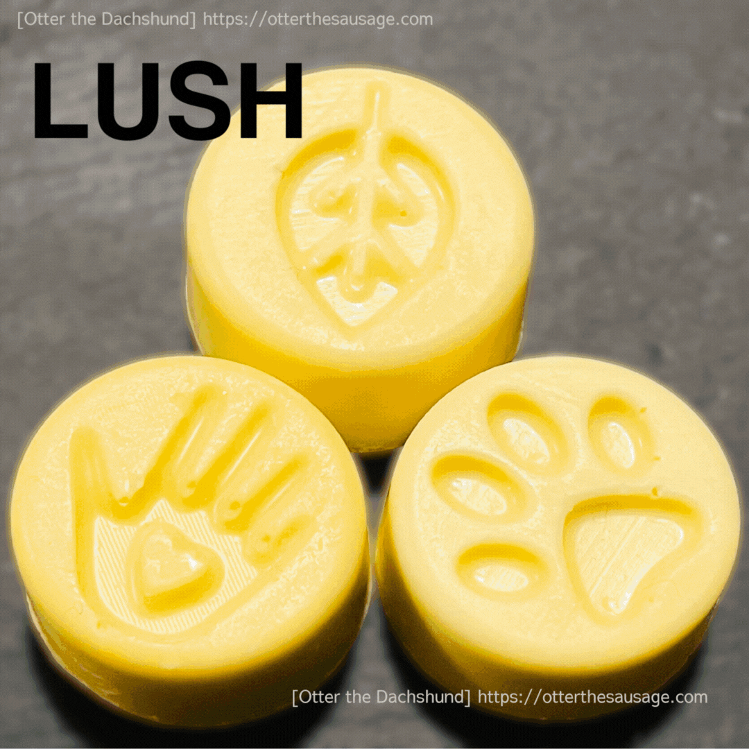 product-review_meaning-lush-Charity-Pot-coin-ラッシュ-チャリティポットコイン-柄の意味