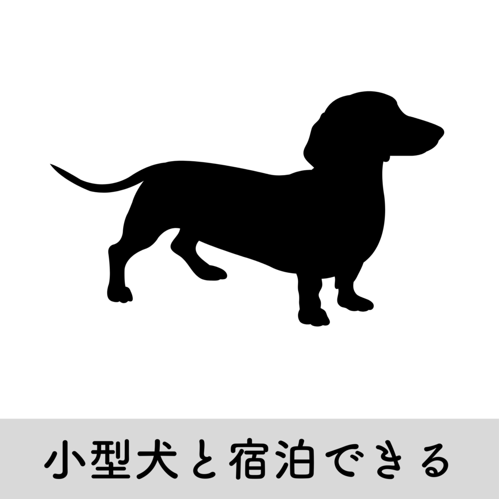 Blog image_hotel Category_ホテルカテゴリー_Otter the Dachshund_カニンヘンダックスフンド犬旅ブログ_小型犬と宿泊できる犬連れ宿泊先情報